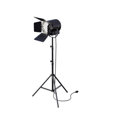 Lights, Camera, Action!