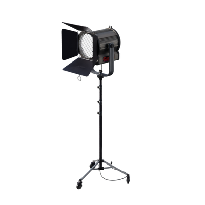 Lights, Camera, Action!