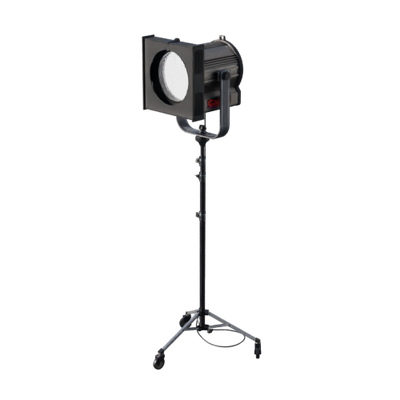Lights, Camera, Action!