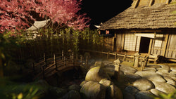 Shogun